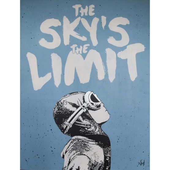 NME - The Sky's The Limit (Silver Wood Edition)