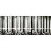 Pejac - Linea Lenticular Print