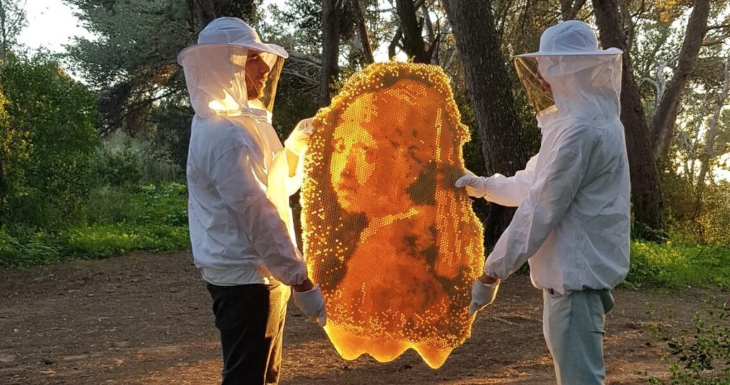 Nature the Artist beehive installation