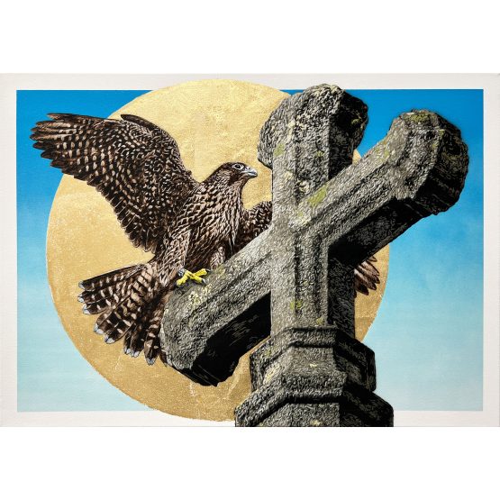 Nils Westergard - Peregrine (Day)