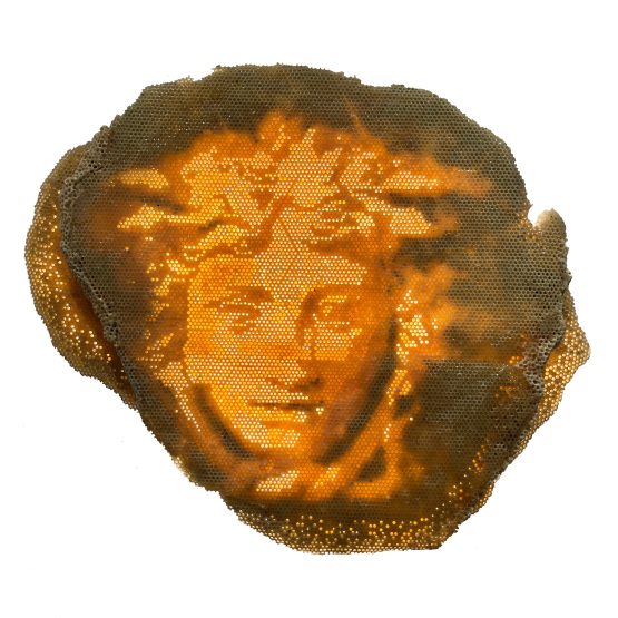 Nature The Artist - Medusa