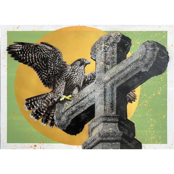 Nils Westergard - Peregrine on Paper #4