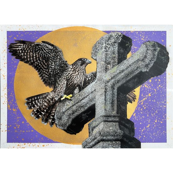 Nils Westergard - Peregrine on Paper #5