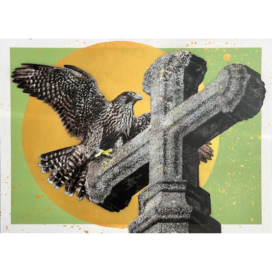 Nils Westergard - Peregrine on Paper #6