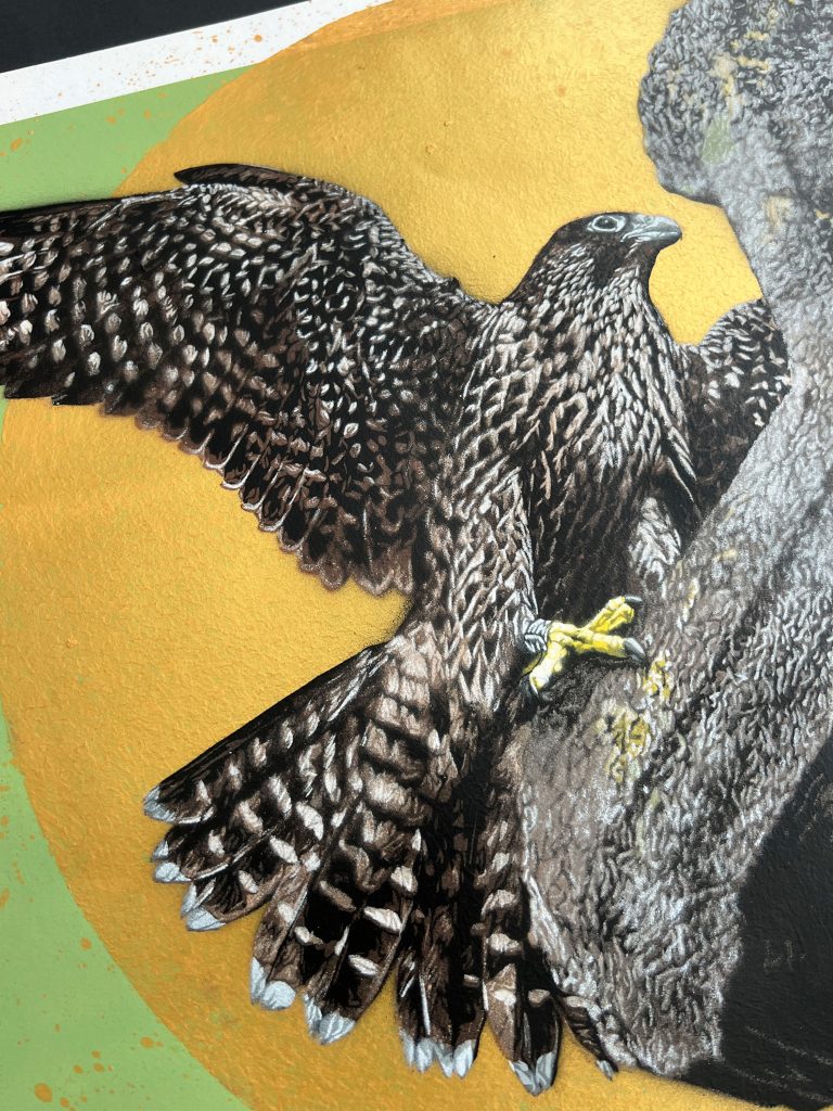 Nils Westergard Peregrine artwork Chichester