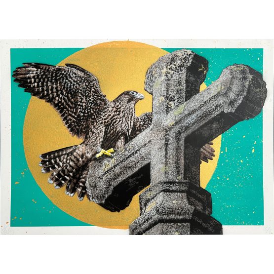 Nils Westergard - Peregrine on Paper #8