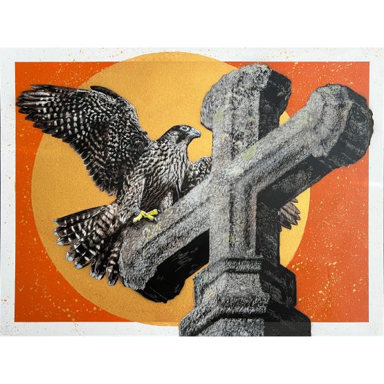 Nils Westergard - Peregrine on Paper #1