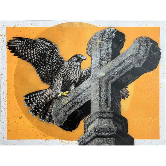Nils Westergard - Peregrine on Paper #2