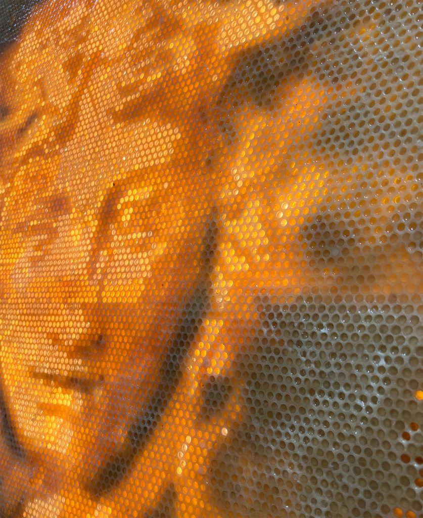 Nature the Artist Medusa honeycomb artwork