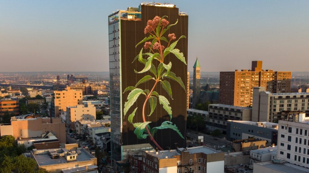 Mona Caron street art mural of resilient weeds