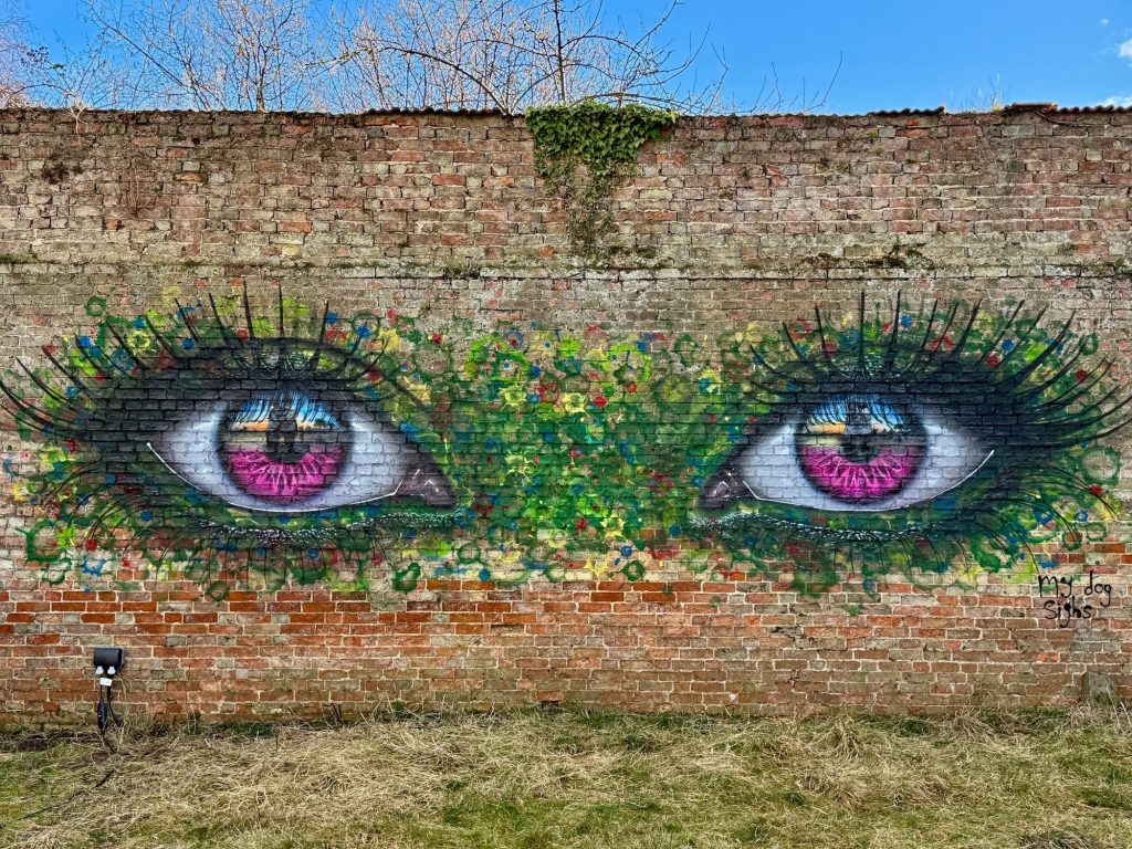 My Dog Sighs wildflower eye mural Cambridgeshire