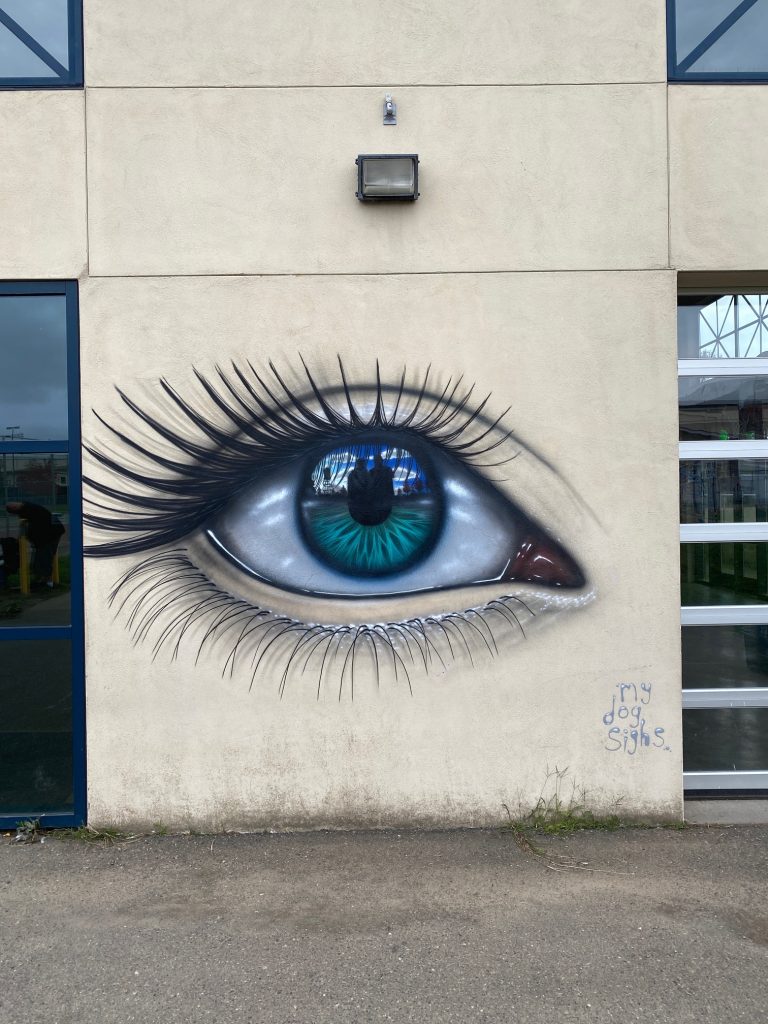 My Dog Sighs West Coast USA mural tour 2025