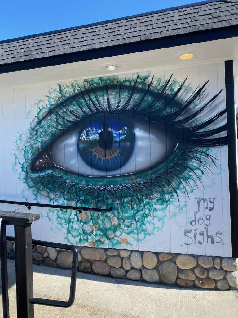 My Dog Sighs West Coast USA mural tour 2025