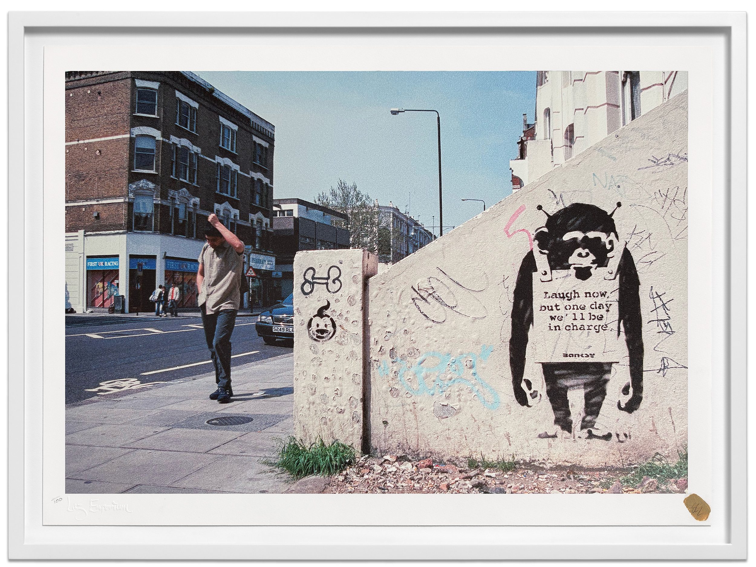 Steve Lazarides Ape Rule signed photographic print