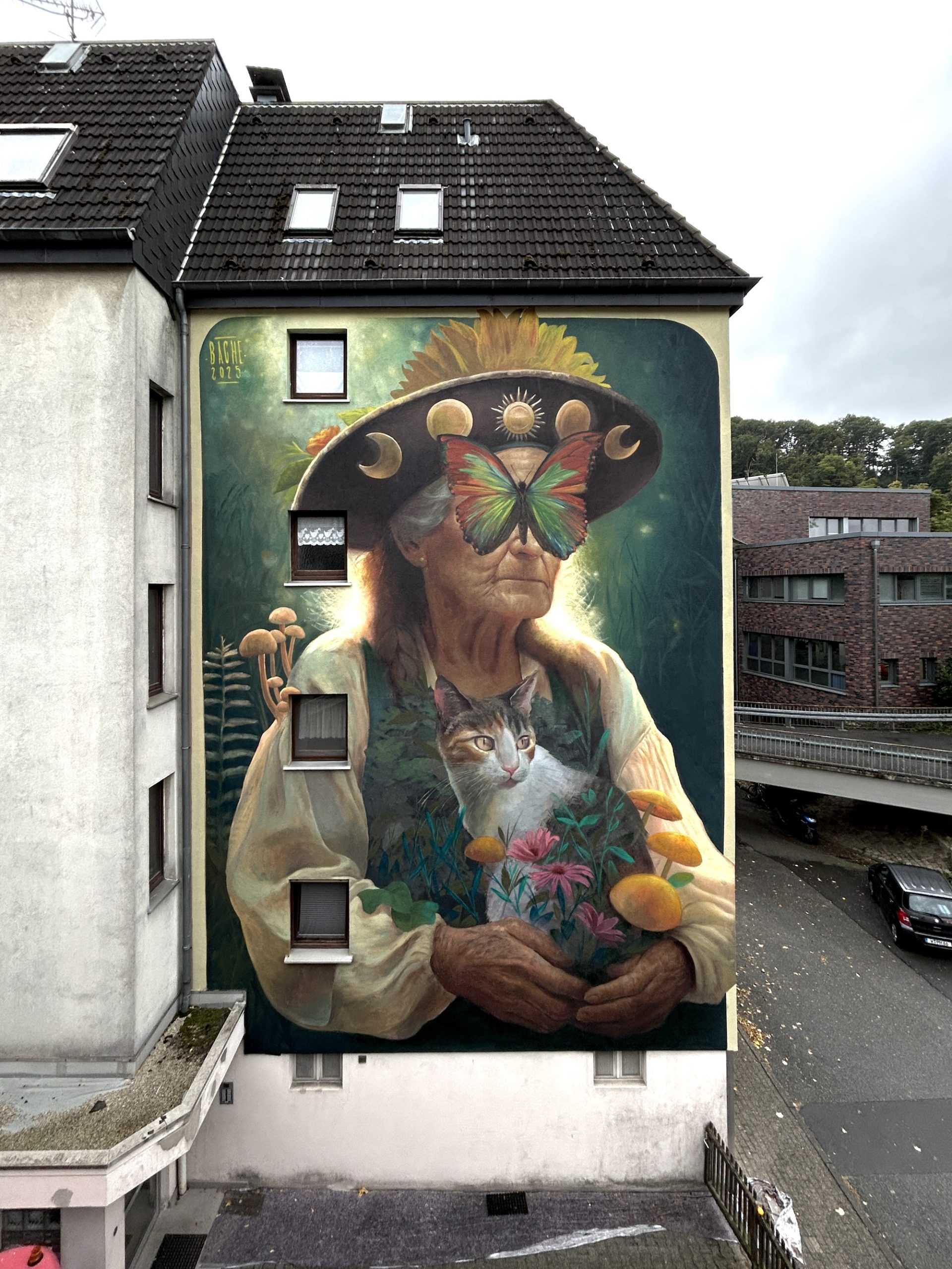 Bache street art mural in Wuppertal showing stars nature and mycelium motifs