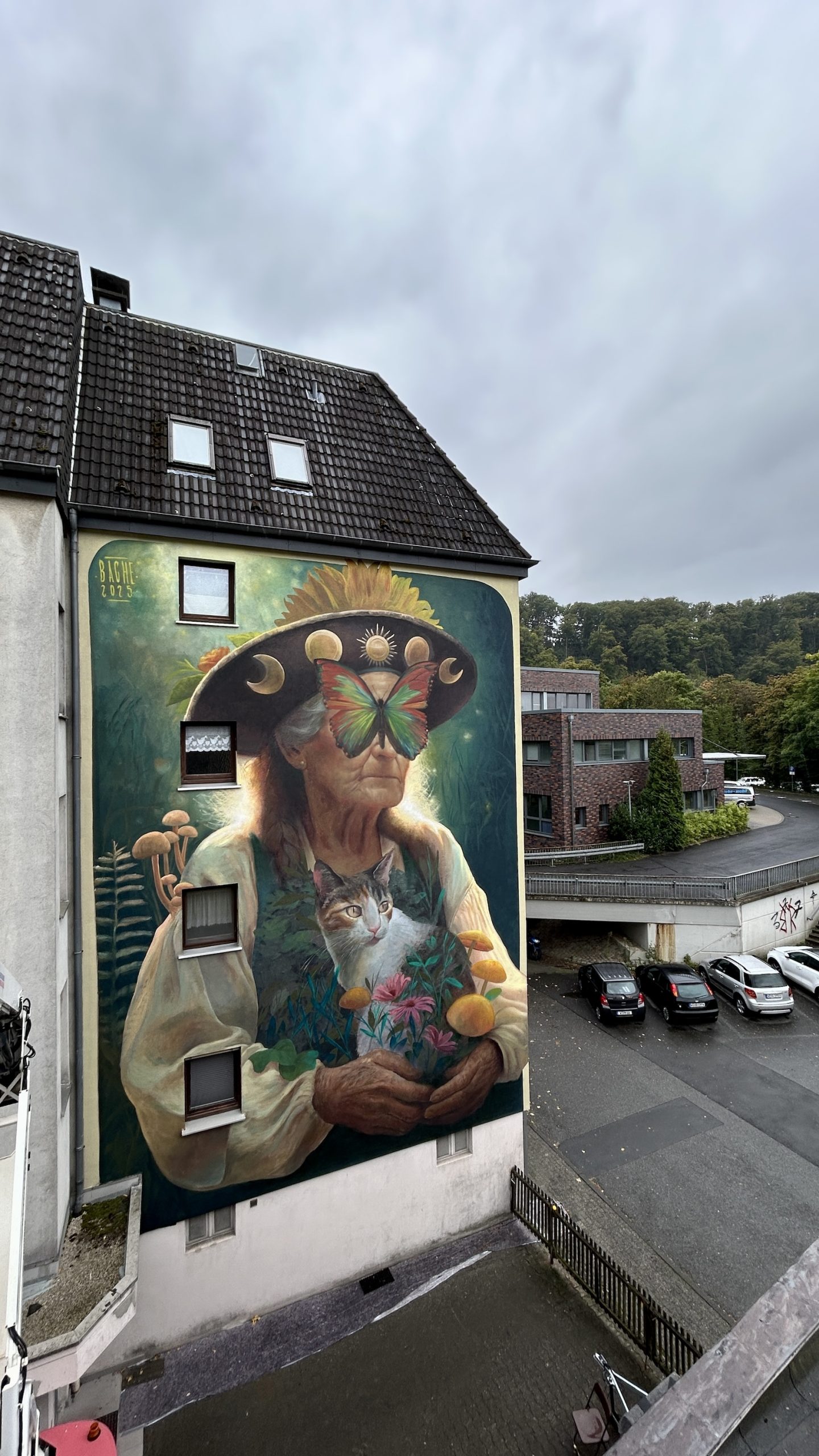 Bache street art mural in Wuppertal showing stars nature and mycelium motifs