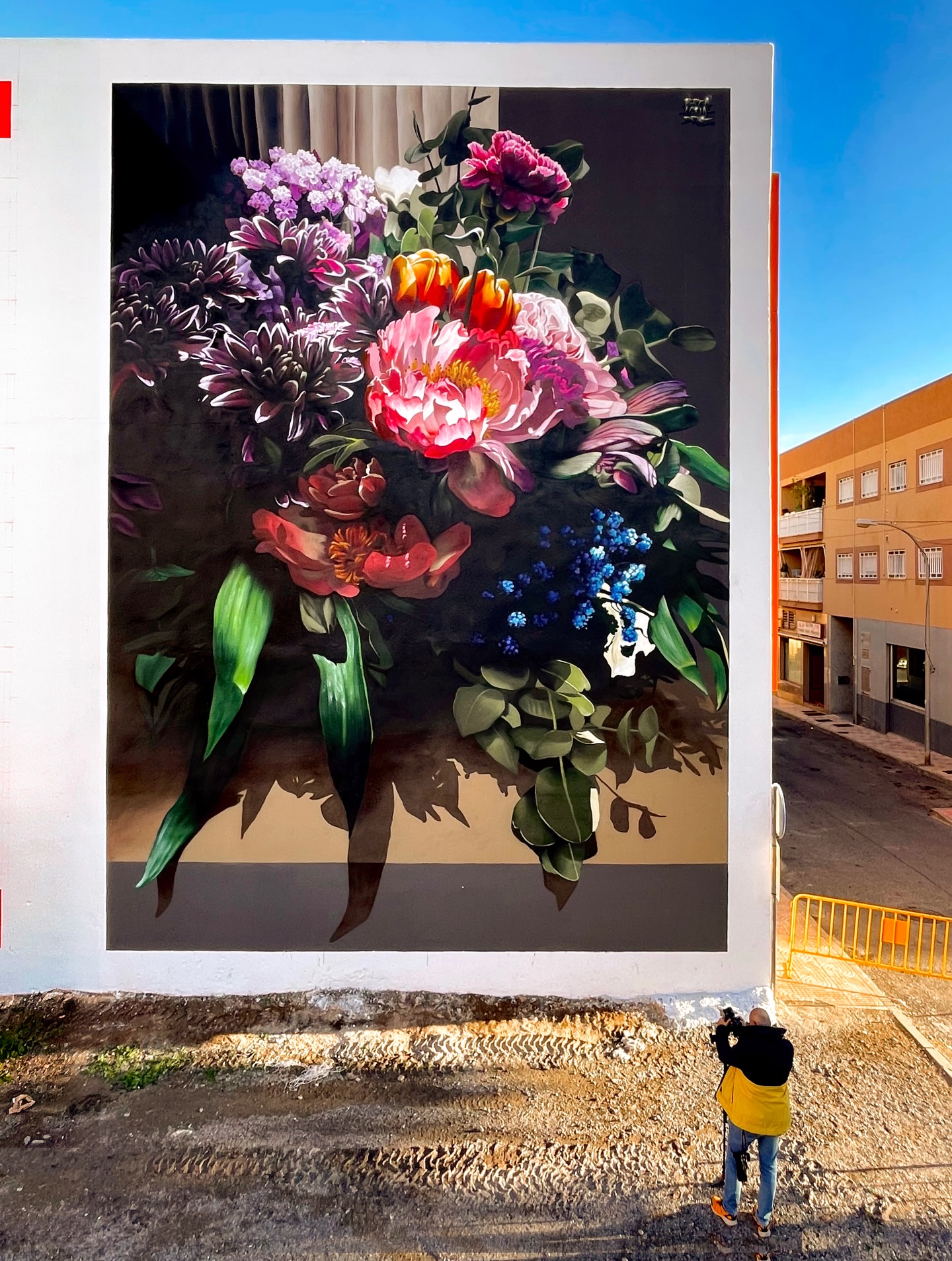 Street view of Brea Acuadros mural Vicar in Almeria Spain