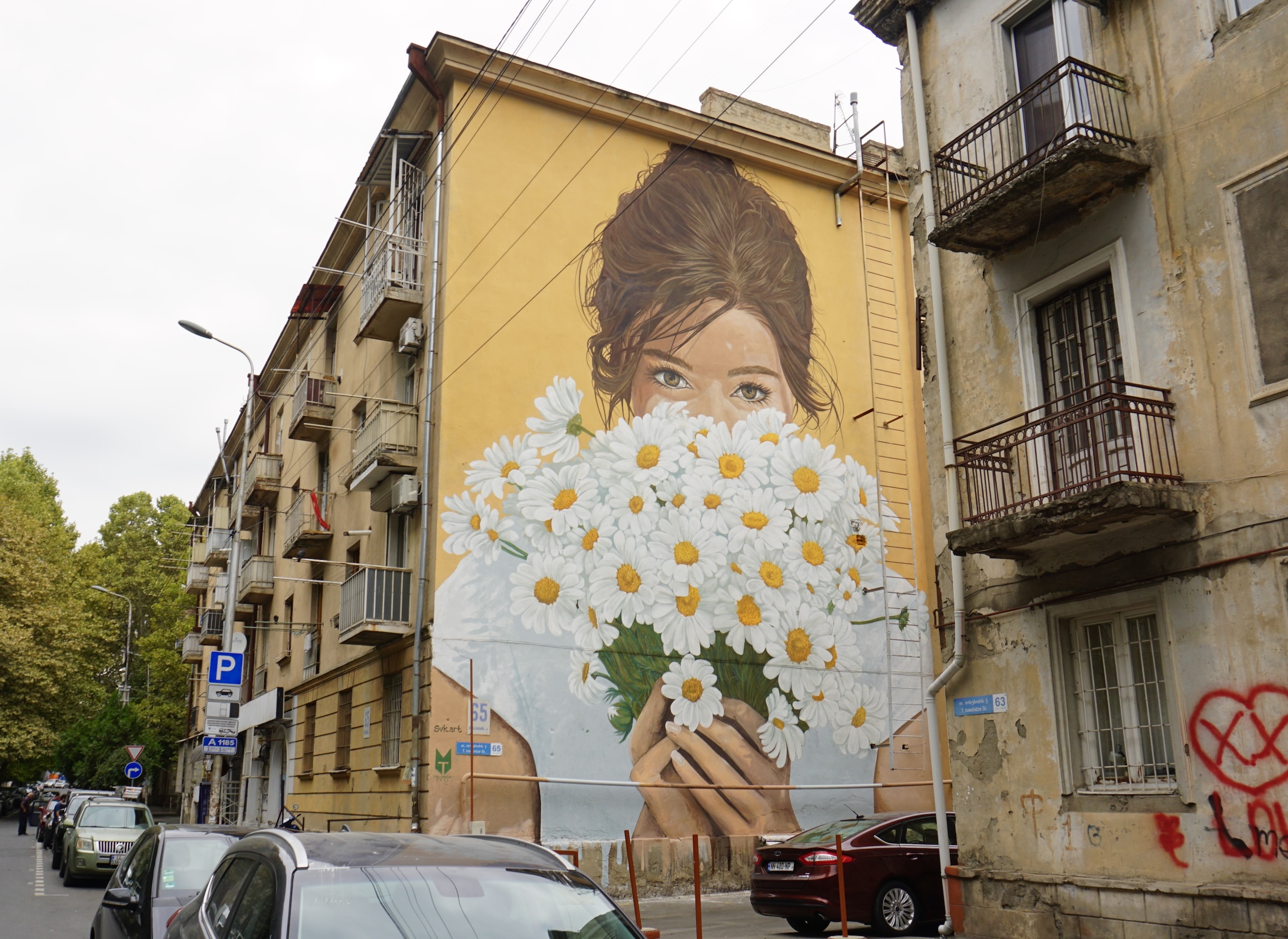 Daisy Murals