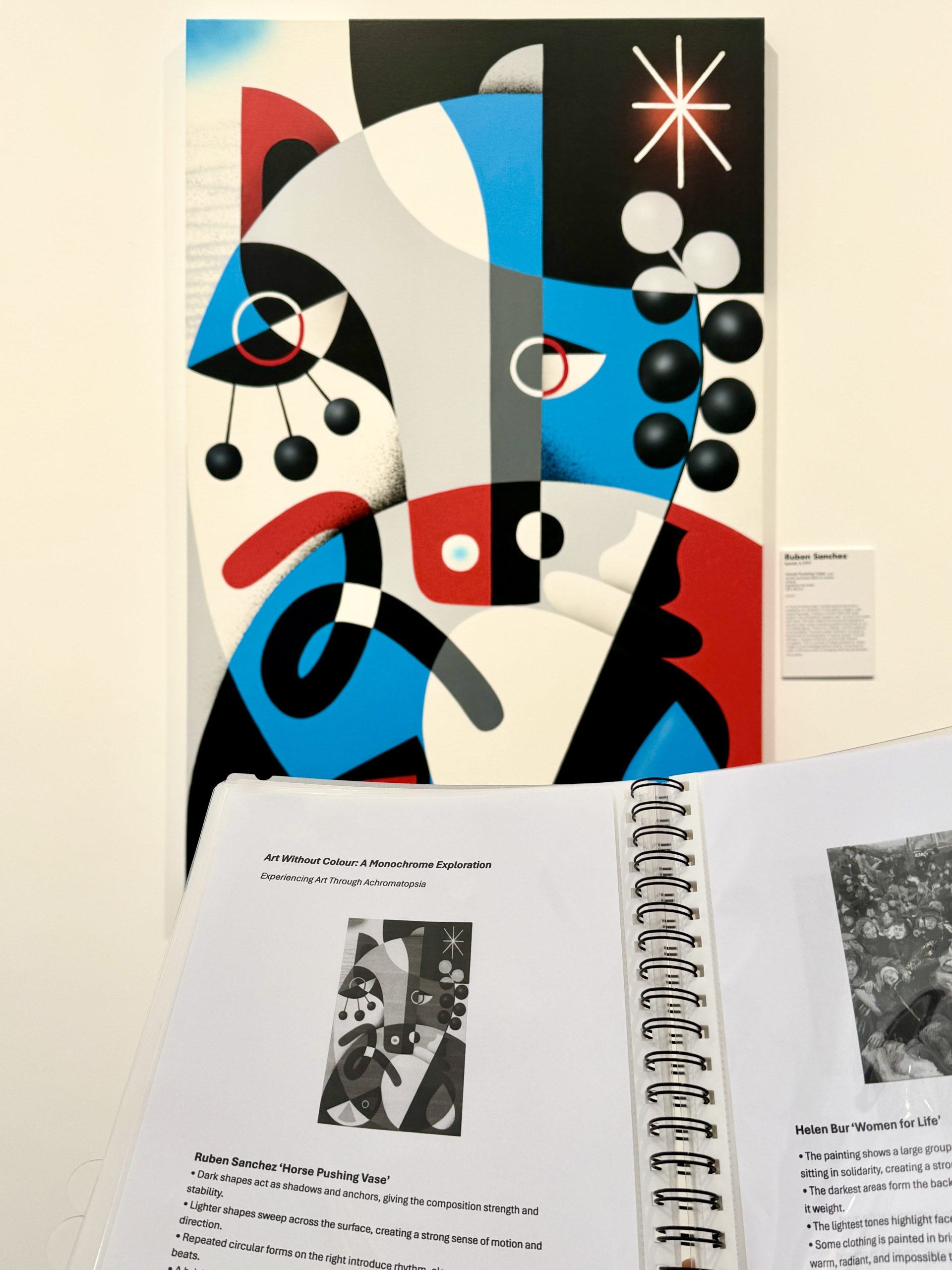 Art Without Colour gallery folder showing artworks in monochrome to explore achromatopsia