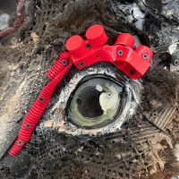 Bordalo II - Eastern Quoll FX (2025) - Detail