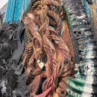 Bordalo II - Eastern Quoll FX (2025) - Detail