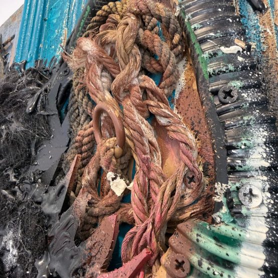 Bordalo II - Eastern Quoll FX (2025) - Detail