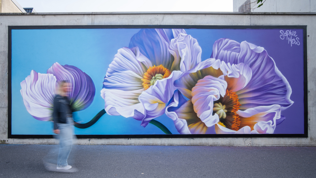 Sophie Mess Reims mural France