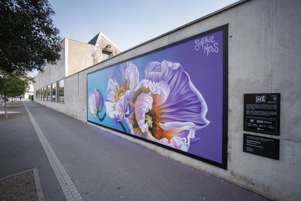 Sophie Mess mural Reims wide view Rue Gerbert building façade