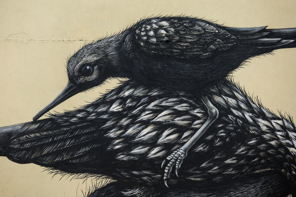 ROA The Crystal Ship 2026 coastal bird mural