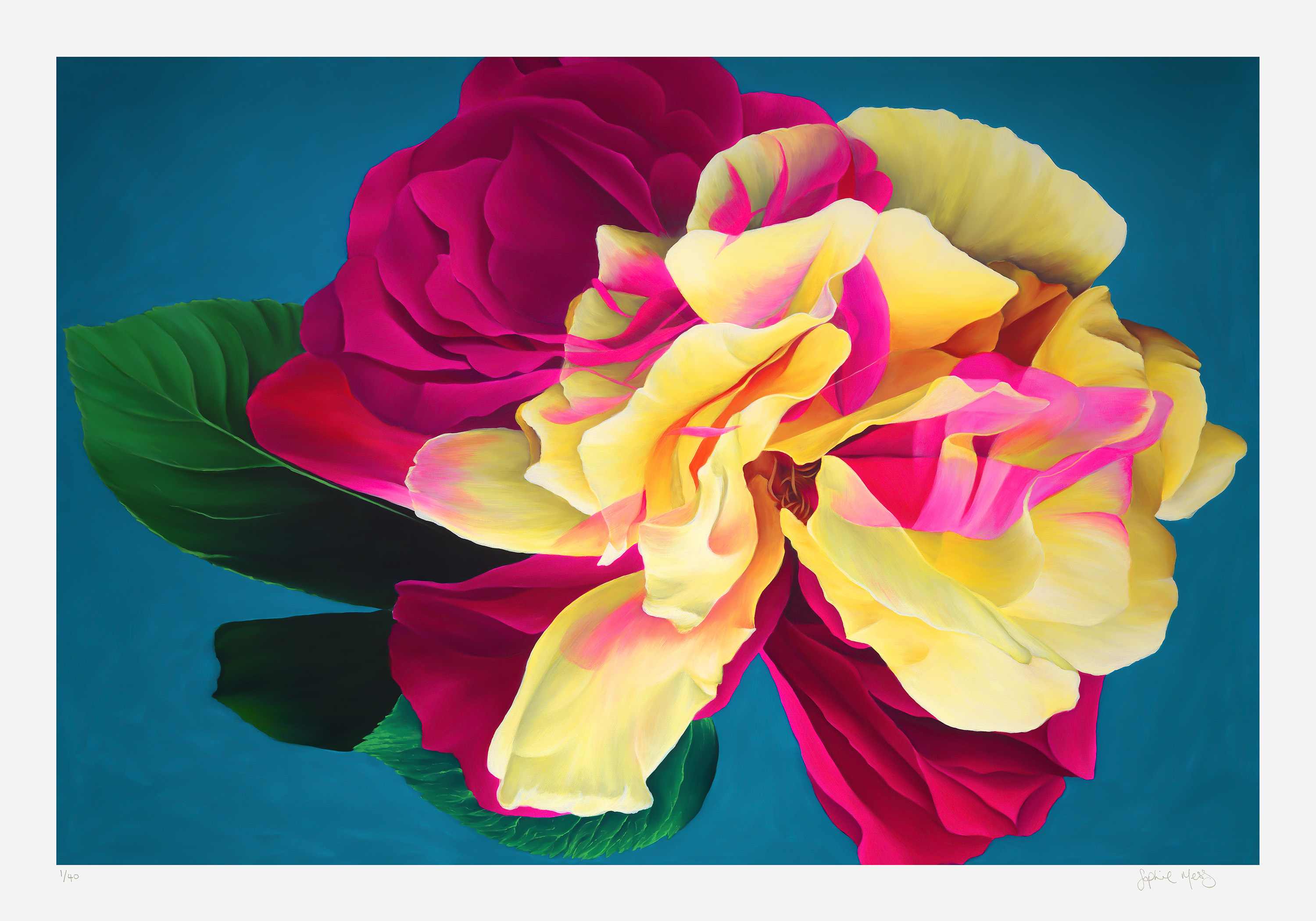 Nebula Rose limited edition print by Sophie Mess