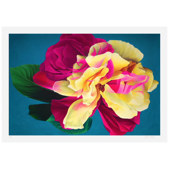 Nebula Rose Edition by Sophie Mess
