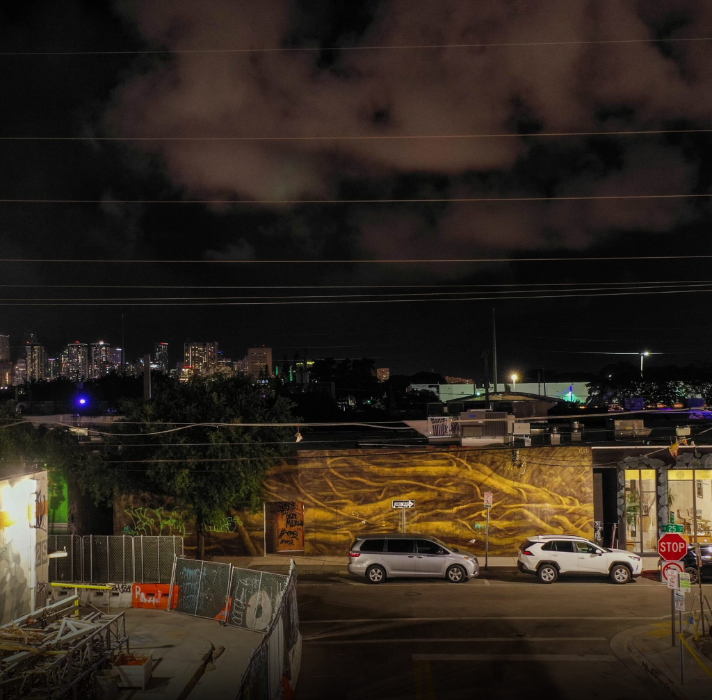 Faith47 Morphic Resonance roots mural in Miami 2022