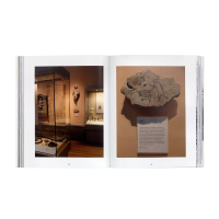 Steve Lazarides - Banksy Captured Vol I & Vol 2. © GraffitiStreet